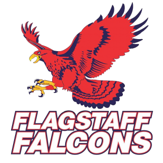 Flagstaff Hill Falcons (Ben Haslam) logo